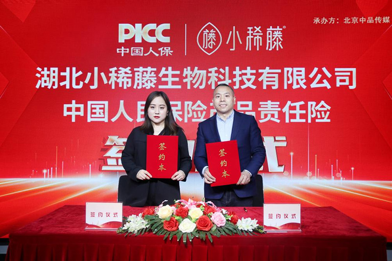 小稀藤携手中国人保，为消费者保驾护航！