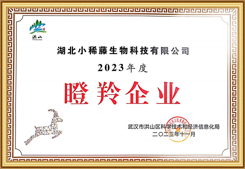 2023年度“瞪羚企业”荣誉称号