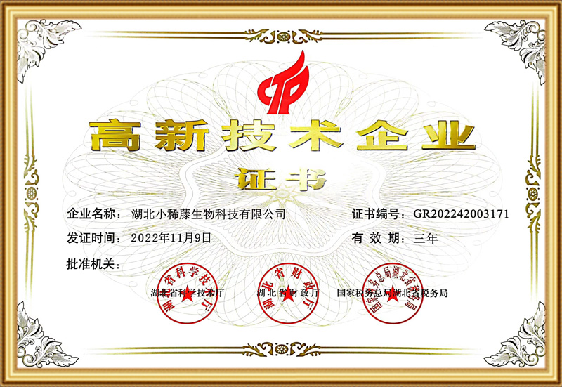 高新技术企业