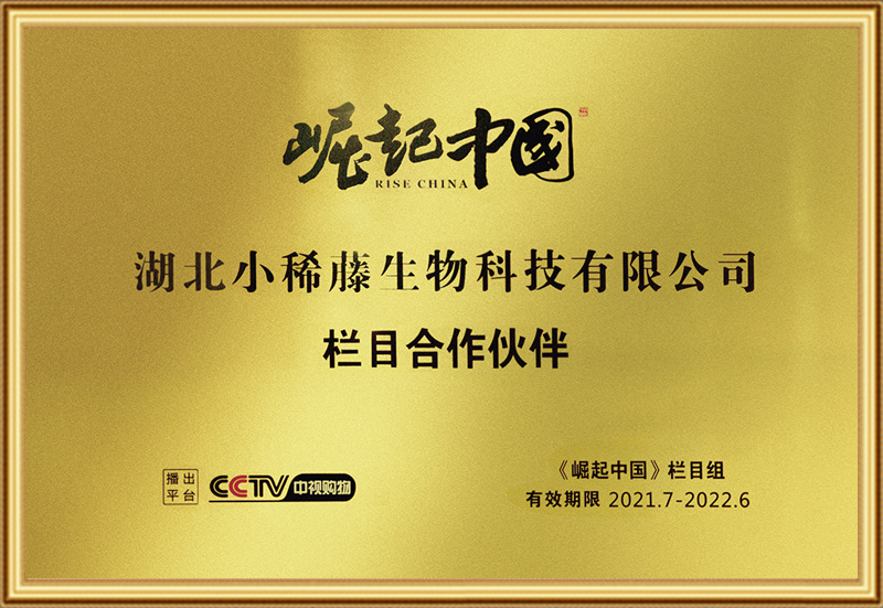 小稀藤入选CCTV《崛起中国》