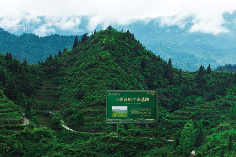 高山活水，藤绕恩施