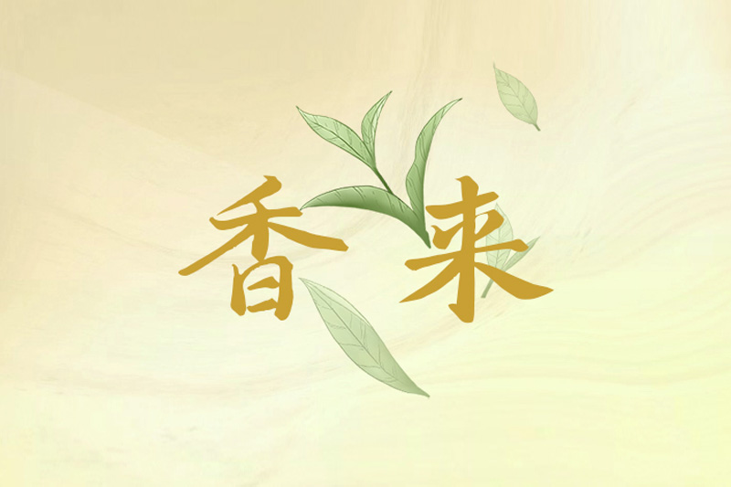 为有暗香来！
