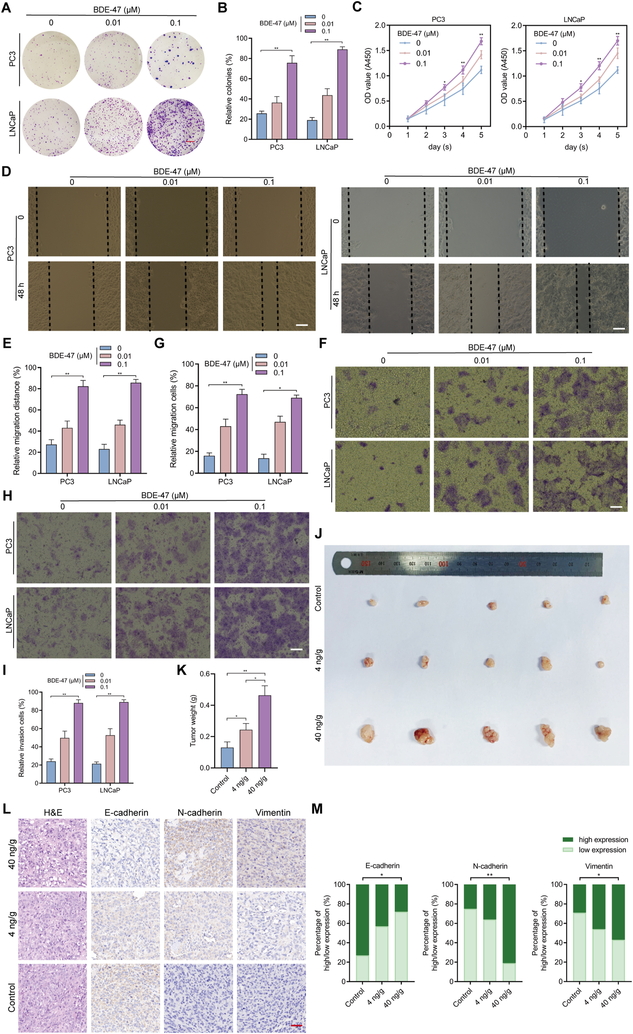 Q1区7.7分，国自然热点研究案例：网络毒理学+分析对接+乳酸化+实验机制解析！！！