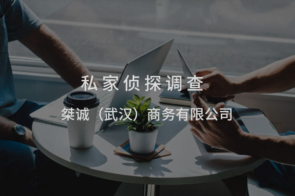 隐秘的真相守护者：走进武汉专业调查的世界