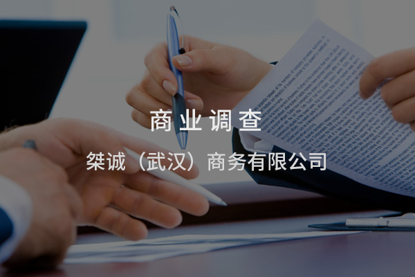 商业调查服务：捍卫企业权益的专业力量