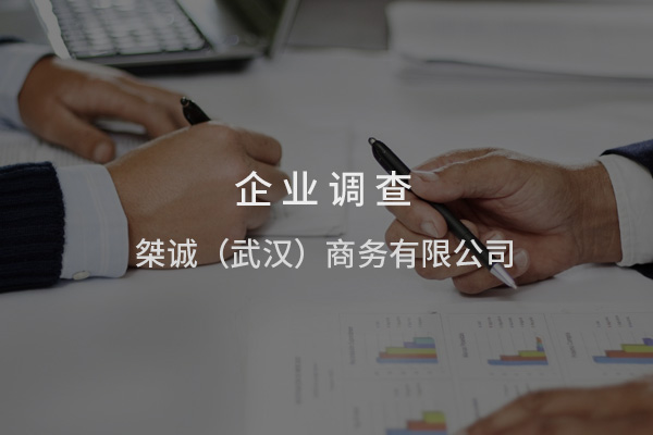 武汉调查公司服务项目全览：解密信息背后的真相